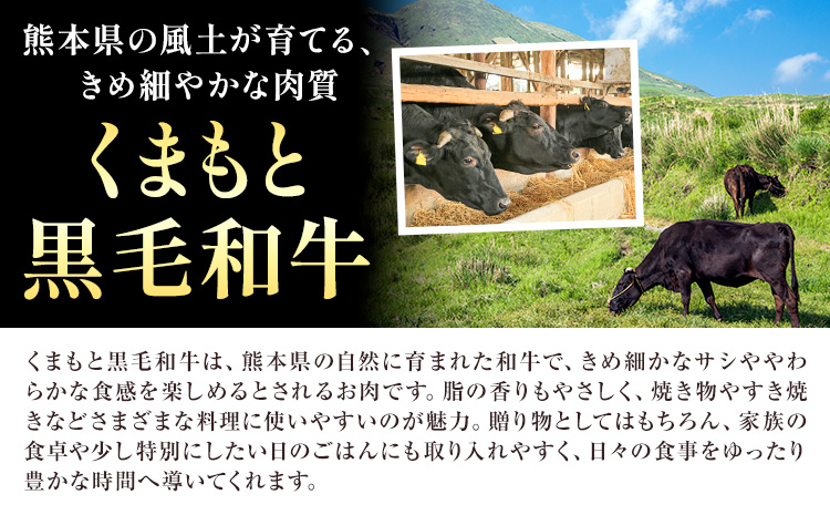 モモ ミニ ステーキ 350g 有限会社中田精肉店舗 《45日以内に出荷予定(土日祝除く)》 熊本県 菊池市 モモ ステーキ お肉 和牛 黒毛和牛 熊本県産 九州産 国産