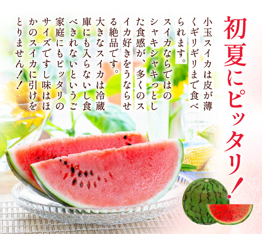 小玉スイカ 3L以上 2玉 計約3kg 株式会社エフビーネット《5月上旬-7月中旬頃出荷》熊本県 菊池市 小玉すいか すいか スイカ 西瓜 果物 フルーツ