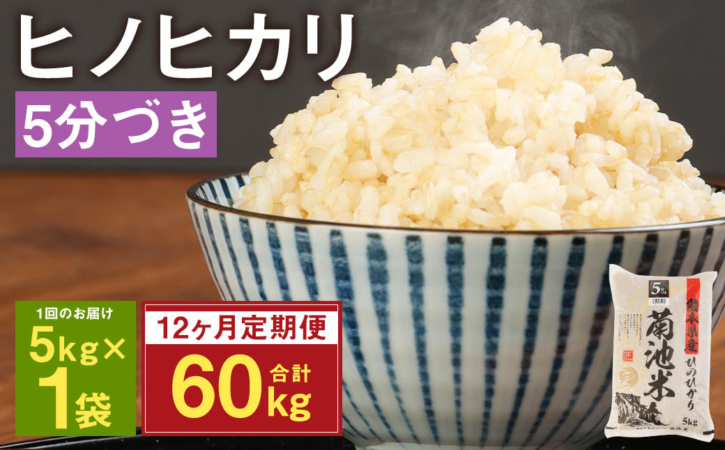 【12ヶ月定期便】熊本県菊池産 ヒノヒカリ 5kg×12回 計60kg 5分づき米 お米 米 分づき米