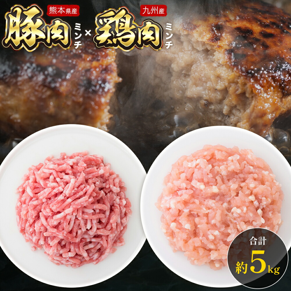 熊本県産 豚肉ミンチ 約3kg 九州産 鶏ミンチ 約2kg 計約5kg 植田商事有限会社 《90日以内に出荷予定(土日祝除く)》 熊本県 菊池市 ミンチ 豚肉 鶏肉 ハーブ鶏 お肉 熊本県産 九州産 国産 冷凍 送料無料