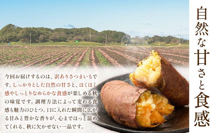 【先行予約】訳あり さつまいも 約5kg 日本フルーツ株式会社《2026年10月上旬-11月中旬頃出荷》熊本県 菊池市 さつまいも サツマイモ 訳あり 熊本県産