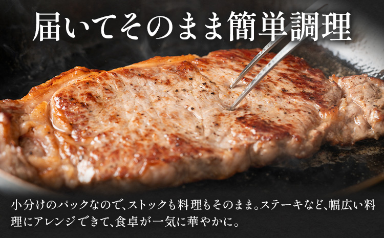 阿蘇あか牛 サーロイン 合計約500g 約100g×5袋 株式会社LARKS《30日以内に出荷予定(土日祝除く)》お肉 和牛 あか牛 ステーキ 熊本県産 九州産 国産 冷凍 送料無料