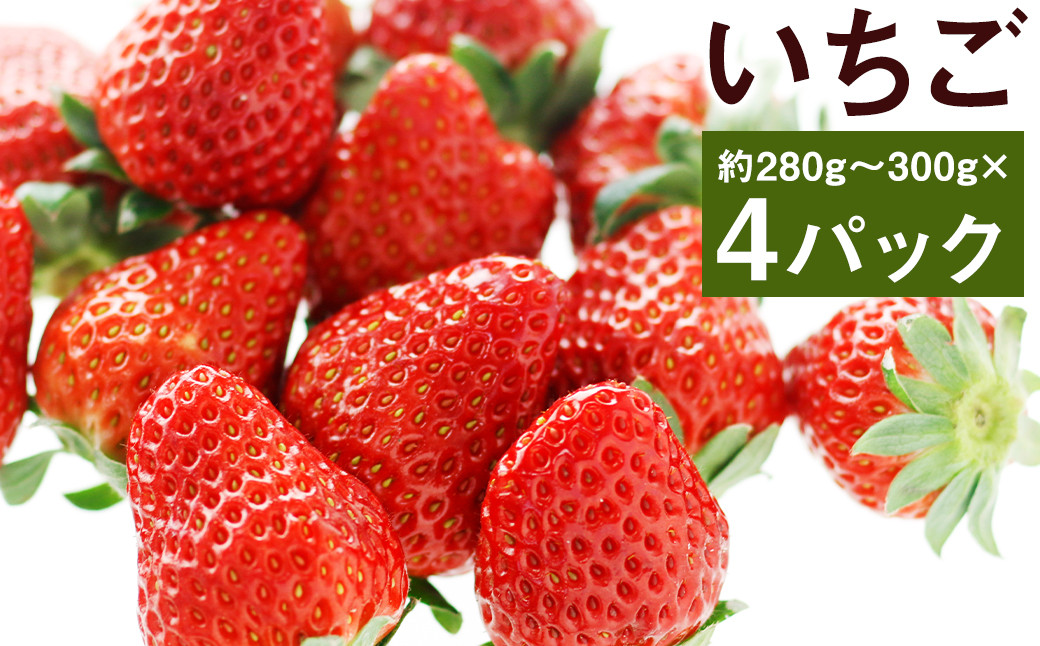 【2024年1月上旬より発送開始】 いちご 4パックセット（約280g～300g×4）苺 果物 養生市場