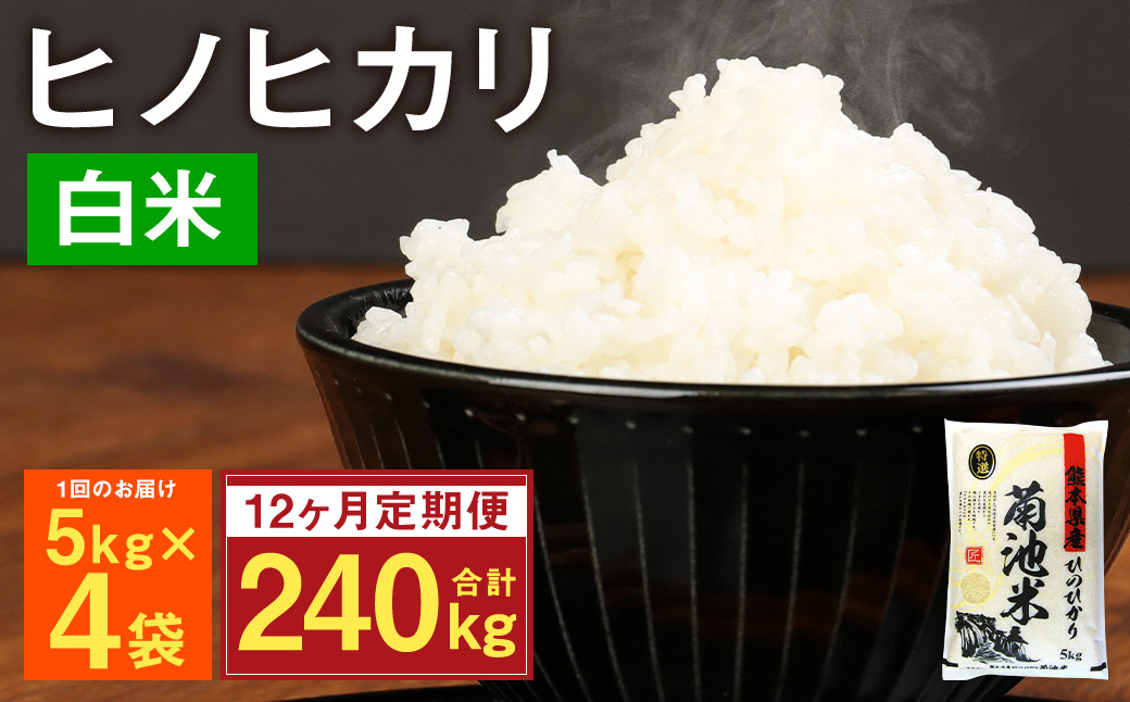 【12ヶ月定期便】熊本県菊池産 ヒノヒカリ 5kg×4袋×12回 計240kg 精米 お米 米 白米