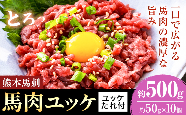 熊本 馬刺し 馬肉ユッケ 約500g ユッケたれ付き 合同会社トライウィン《90日以内に出荷予定(土日祝除く)》熊本県 菊池市 馬刺 刺身 馬肉 ユッケ たれ付き 小分け 個包装 冷凍 送料無料