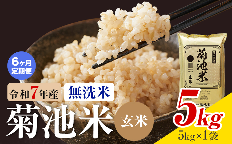 【6ヶ月定期便】熊本県産 菊池米 玄米 無洗米 5kg 1袋5kg 米 お米 令和7年産 九州産 熊本県産 送料無料《お申込み翌月に出荷予定》玄米 米