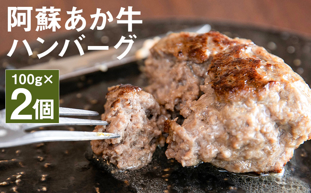 阿蘇 あか牛 ハンバーグ 100g × 2個 合計 200g 牛肉 牛