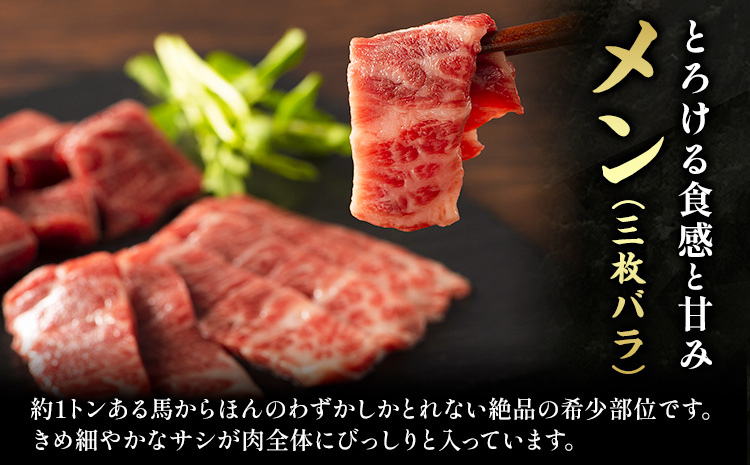 馬刺し 本場 熊本 霜降り馬刺しと赤身の贅沢6種セット 亀井通産株式会社《30日以内に出荷予定(土日祝除く)》 熊本県 菊池市 肉 馬肉 メン 大トロ 中トロ ヒレ シャトーブリアン ロース ユッケ 馬肉 赤身 ふじ馬刺し セット 食べ比べ