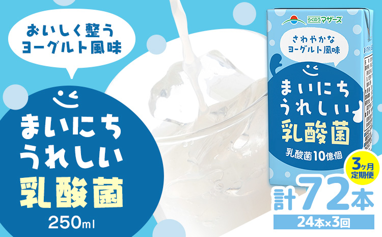 常温保存可能【1ヶ月毎3回定期便】まいにちうれしい 乳酸菌 ヨーグルト風味 250ml×24本 計72本 合同会社たべたせいか《お申し込みの翌月から出荷》熊本県 菊池市 紙パック ヨーグルト飲料 乳酸菌 ドリンク 飲み物 飲料 常温保存 国産 熊本県産