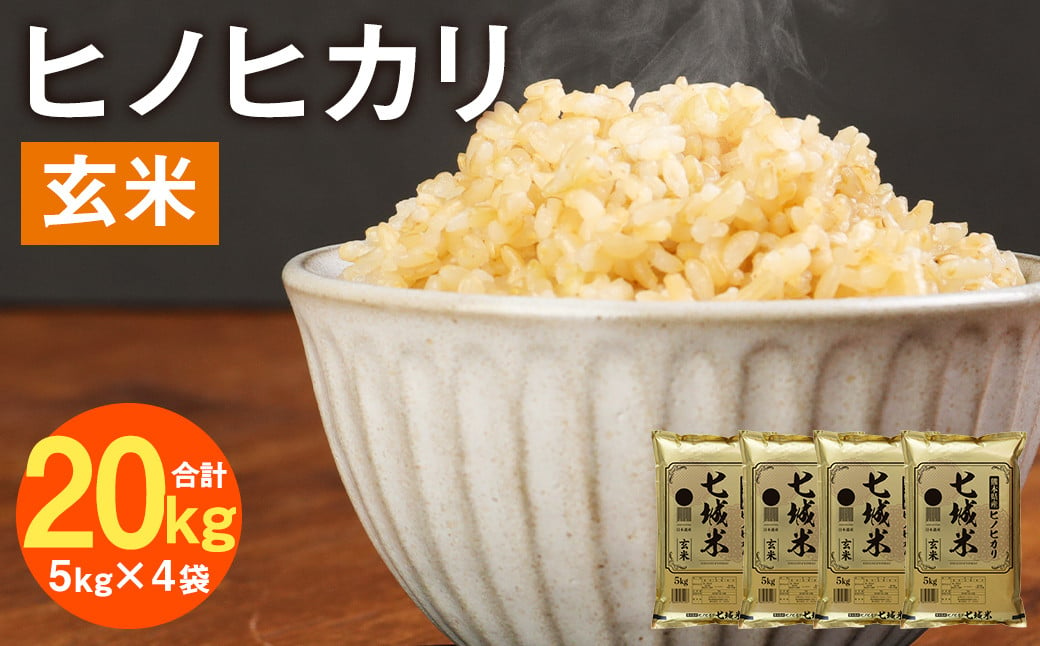 熊本県菊池産 ヒノヒカリ 5kg×4袋 計20kg 玄米 米 お米