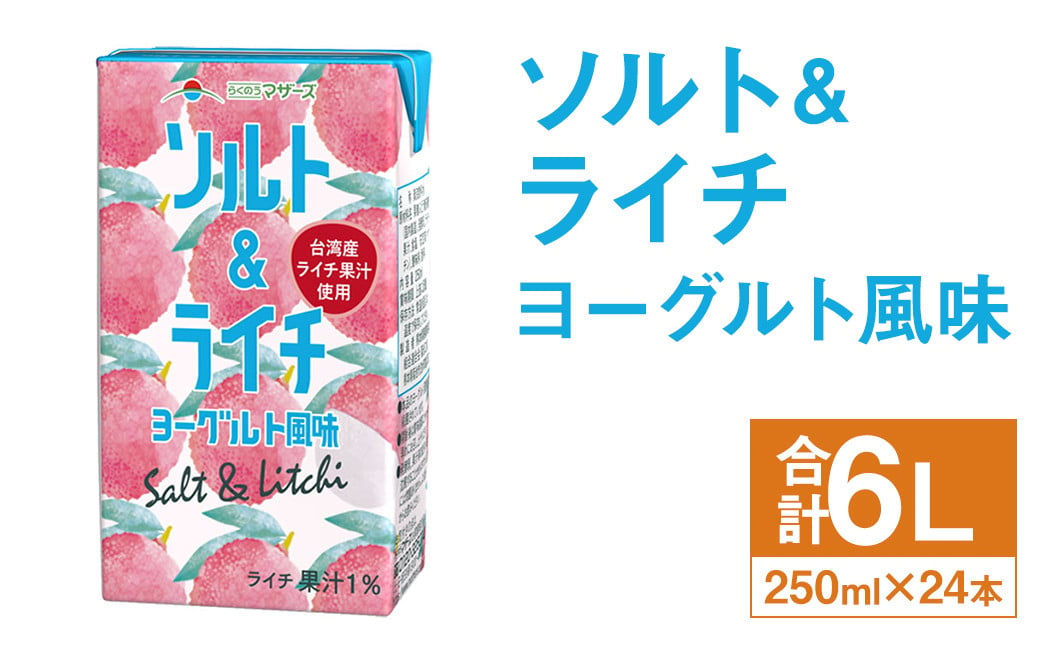 ソルト&ライチ ヨーグルト風味 250ml×24本 合計6L 飲料 ライチ 果汁 乳飲料 果汁飲料