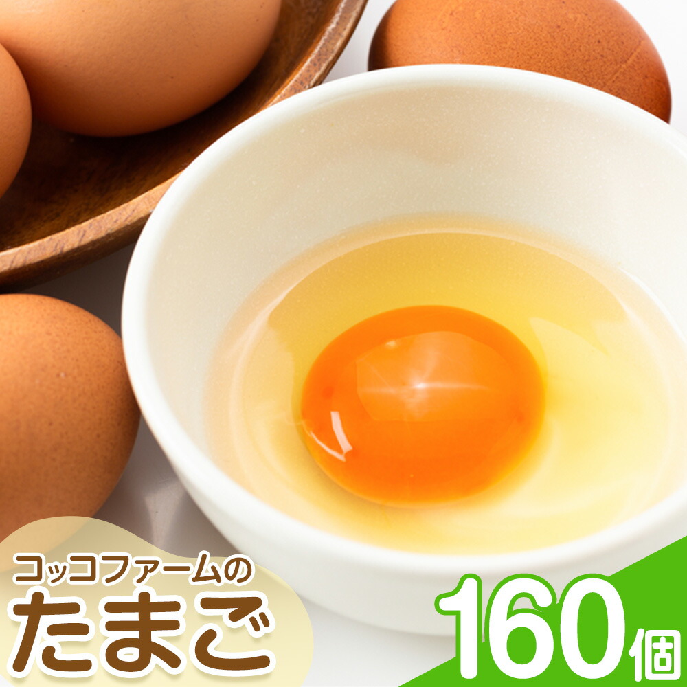コッコファームのたまご 160個 コッコファーム《90日以内に出荷予定(土日祝除く)》熊本県 菊池市 卵 鶏卵 玉子 たまご 家庭用 熊本県産 九州産 冷蔵 送料無料