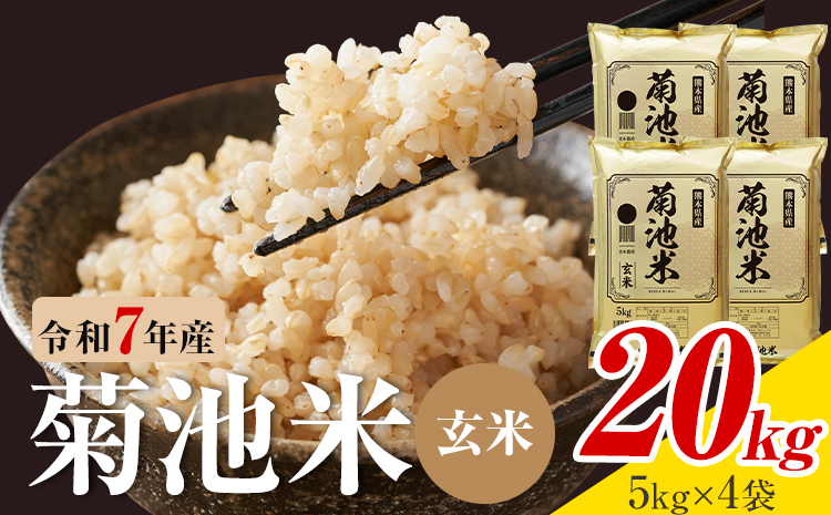 令和7年産 熊本県産 菊池米 玄米 20kg 1袋5kg 株式会社くまもとごはん 《30日以内に出荷予定(土日祝除く)》米 お米 令和7年産 九州産 熊本県産  送料無料
