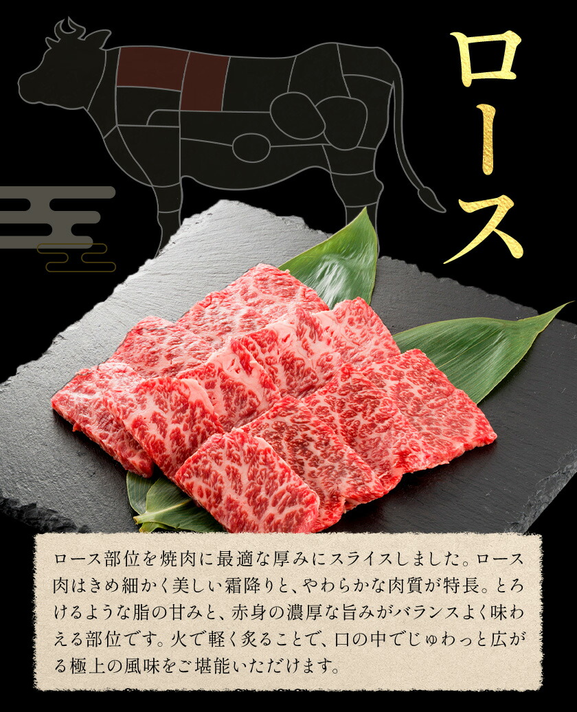 和王 ロース 焼肉用 約600g 約300g×2パック 菊池地域農業協同組合(JA菊池まんまキッチン)《90日以内に出荷予定(土日祝除く)》熊本県 菊池市 くまもと黒毛和牛 和牛 牛肉 お肉 焼き肉 熊本県産 九州産 国産 冷凍 送料無料