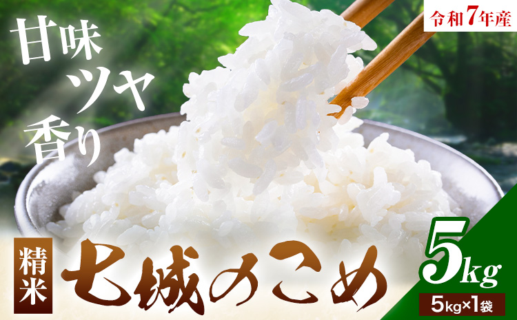 令和7年産 七城のこめ 精米 5kg ヒノヒカリ ひのひかり 有限会社七城町特産品センター 《30日以内に出荷予定(土日祝除く)》 熊本県 菊池市 定期便 お米 米 白米 九州産 熊本県産