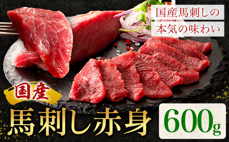 国産 馬刺し 赤身 600g 亀井通産株式会社(株式会社フジチク) 《30日以内に出荷予定(土日祝除く)》 小分け 馬肉 刺身 冷凍 熊本県 菊池市 送料無料