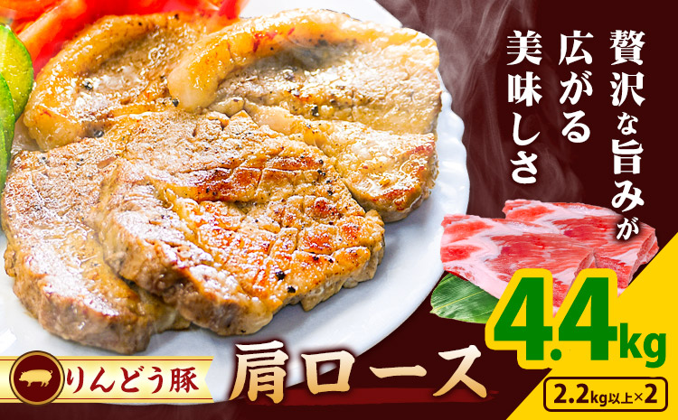 熊本県産 りんどう豚 ブロック 4.4kg 株式会社フジフード《30日以内に出荷予定(土日祝除く)》 熊本県 菊池市 豚肉 ブロック肉 ロース 肩ロース 九州産 国産