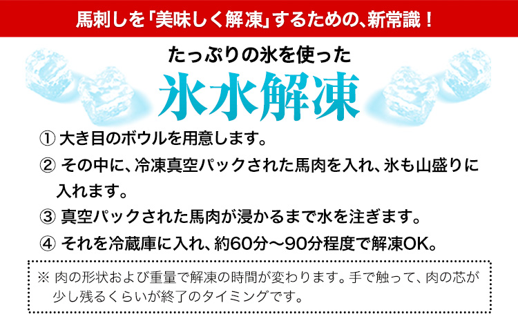 馬刺し 赤身 馬刺し 1kg 【純 国産 熊本 肥育】 たっぷり 1kg 約100g×10 ブロック ( タレ 5ml×10袋) 生食用 冷凍《30日以内に出荷予定(土日祝除く)》送料無料 国産 絶品 馬肉 肉 ギフト