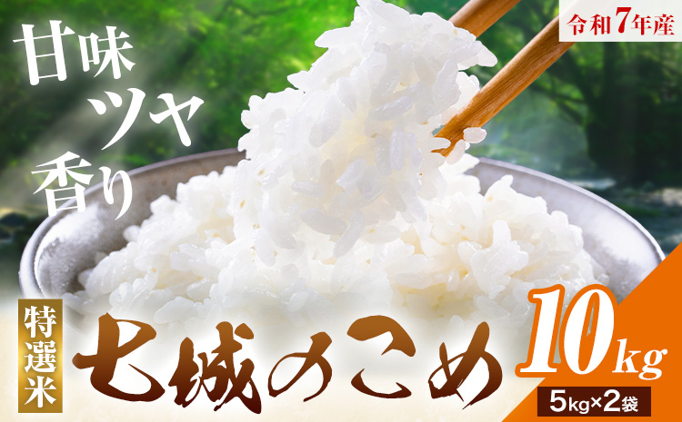 令和7年産 七城のこめ 特選米 七つ星 精米 ヒノヒカリ ひのひかり 10kg 有限会社七城町特産品センター《30日以内に出荷予定(土日祝を除く)》 熊本県 菊池市 お米 米 白米 九州産 熊本県産