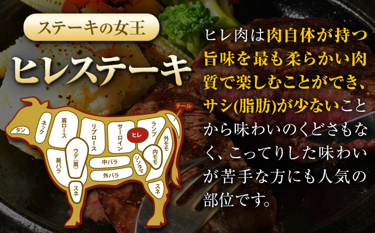 くまもと黒毛和牛 ヒレステーキ 600g (150g×4枚) 牛肉 冷凍 《30日以内に出荷予定(土日祝除く)》 くまもと黒毛和牛 黒毛和牛 冷凍庫 個別 取分け 小分け 個包装 ステーキ肉 にも ヒレステーキ