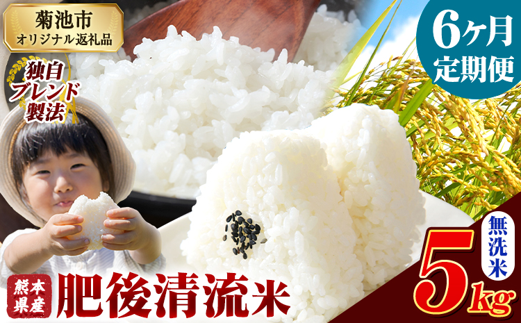 【6ヶ月定期便】熊本県産 肥後清流米 無洗米 5kg ブレンド米 熊本県産 ふるさと納税 精米 米 こめ ふるさとのうぜい コメ お米 おこめ《お申込み翌月から出荷》