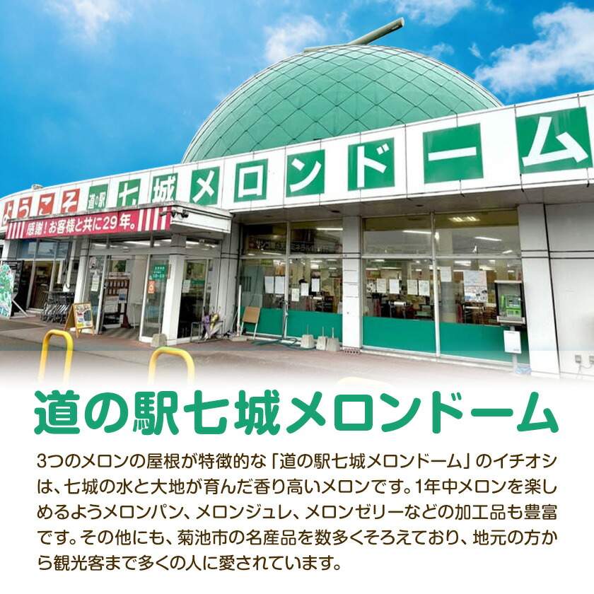 令和7年産 七城のこめ 精米 10kg(5kg×2袋) ヒノヒカリ ひのひかり 有限会社七城町特産品センター《30日以内に出荷予定(土日祝除く)》 熊本県 菊池市 定期便 お米 米 白米 九州産 熊本県産