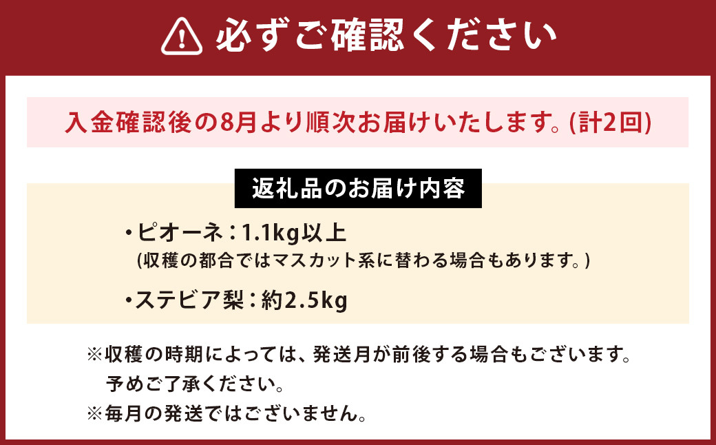 【2回発送】旬の味覚フルーツ定期便（ぶどう・梨）品種おまかせ 果物