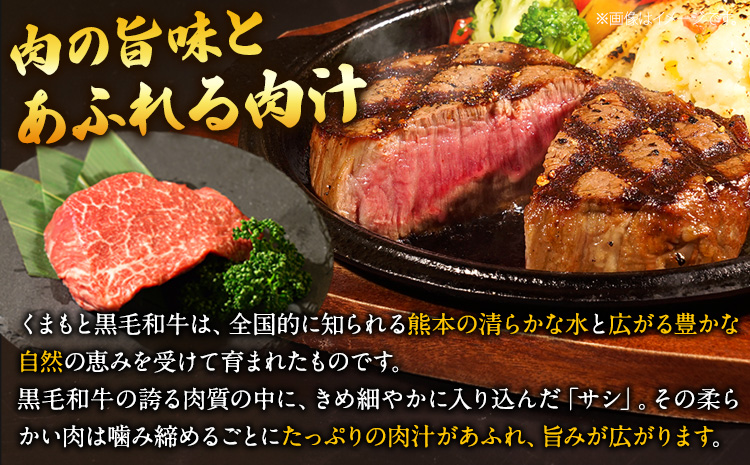 くまもと黒毛和牛 ヒレステーキ 450g (150g×3枚) 牛肉 冷凍 《30日以内に出荷予定(土日祝除く)》 くまもと黒毛和牛 黒毛和牛 冷凍庫 個別 取分け 小分け 個包装 ステーキ肉 にも ヒレステーキ