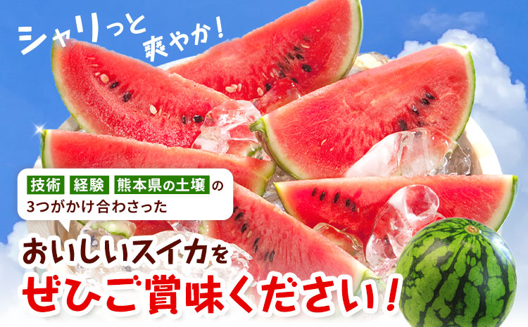 ãå
è¡äºçŽãå°çã¹ã€ã« 1ç çŽ1.5kg æ¥æ¬ãã«ãŒãæ ªåŒäŒç€Ÿ ã4æäžæ¬-7æäžæ¬é åºè·ã ãã ãŸããã 西ç ããã ãã«ãŒã æç© ãã ãã® æ¬ çæ¬ç èæ± åž çæ¬çç£ ããŸããš