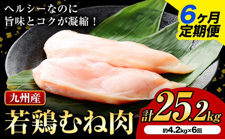 【6ヶ月定期便】 九州産若鶏ムネ肉 600g×7袋×6回 計25.2kg 鶏肉 お肉 ムネ肉 むね肉 小分け 冷凍 九州産 国産 熊本県 菊池市 送料無料《お申込み翌月から出荷》
