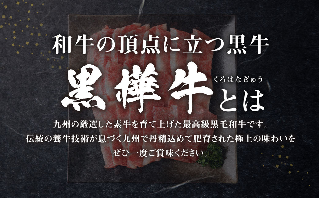 くまもと黒毛和牛 杉本本店 黒樺牛 A4~A5等級 焼肉用カルビ 250×2 計500g