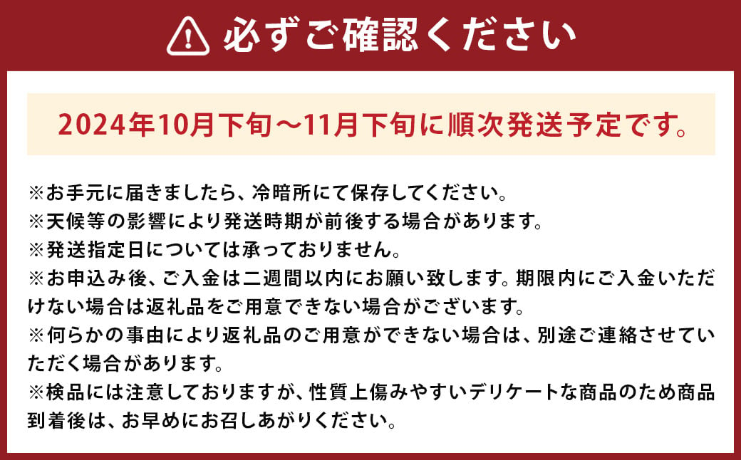 太秋柿 秀品 約3kg （約8～14個） 【2024年10月下旬から2024年11月下旬発送予定】 果物 フルーツ 柿 かき 旬 旬の果物 旬のフルーツ