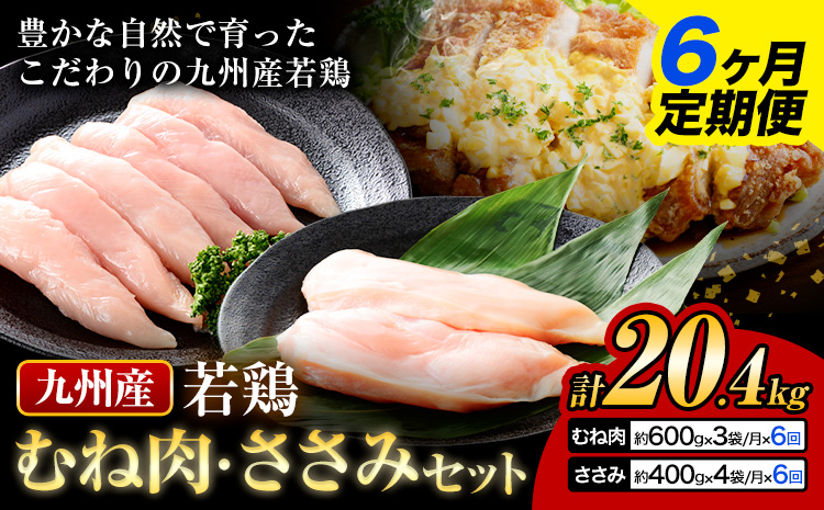 【6ヶ月定期便】 九州産 むね肉（600g×3袋）・ささみ（400g×4袋）鶏肉 お肉 ムネ肉 2種類 小分け 冷凍 詰め合わせ 九州産 国産 熊本県 菊池市 送料無料《お申込み翌月から出荷》