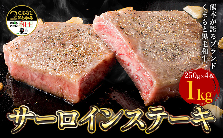熊本県産 黒毛和牛 サーロイン ステーキ 計1kg（250g×4《90日以内に出荷予定(土日祝除く)》国産 牛肉