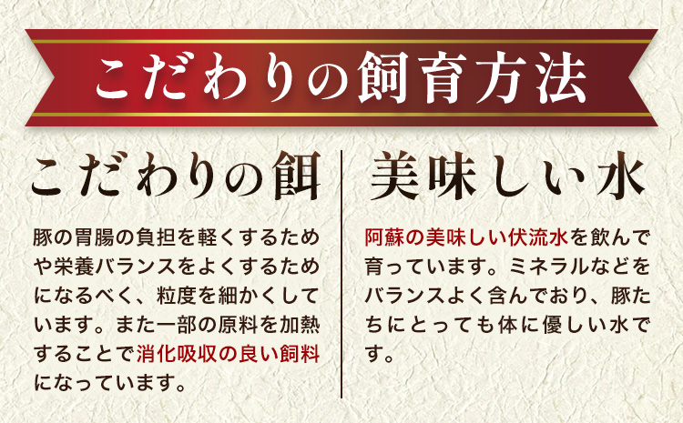 肥後あそび豚 骨付き スペアリブ 800g×2パック 合計1.6kg 株式会社さつま屋産業 ぶた ブタ 豚肉 肉 ブランド豚 骨付き肉 スペアリブ 国産 九州産 熊本県産 菊池市産 冷凍 送料無料《90日以内に出荷予定(土日祝除く)》