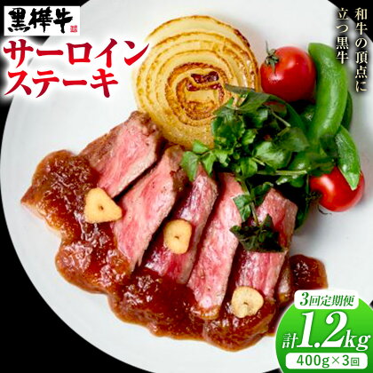 【3ヶ月定期便】くまもと黒毛和牛 黒樺牛 A4-A5等級サーロインステーキ定期便 400g×3回 合計1.2kg 《お申し込み月の翌月から出荷開始》熊本県 菊池市 和牛 お肉 牛肉 黒毛和牛 霜降り ステーキ 定期便 国産 九州産 熊本県産 冷凍 送料無料