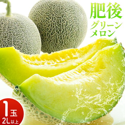 肥後グリーンメロン 1玉 2L以上【メロンドーム】 メロン 果物 フルーツ 九州産 熊本県産 送料無料【2026年5月中旬頃より出荷】【先行予約】