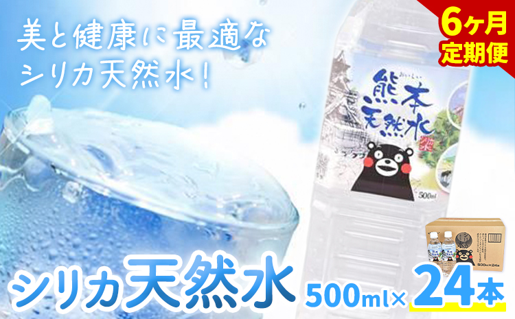 【6ヶ月定期便】シリカ天然水 500ml×24本 計144本 株式会社Foody's《申込月の翌月から出荷開始》熊本県 菊池市 シリカ水 飲料水 ミネラルウォーター 水 軟水 鉱水 ペットボトル 定期便