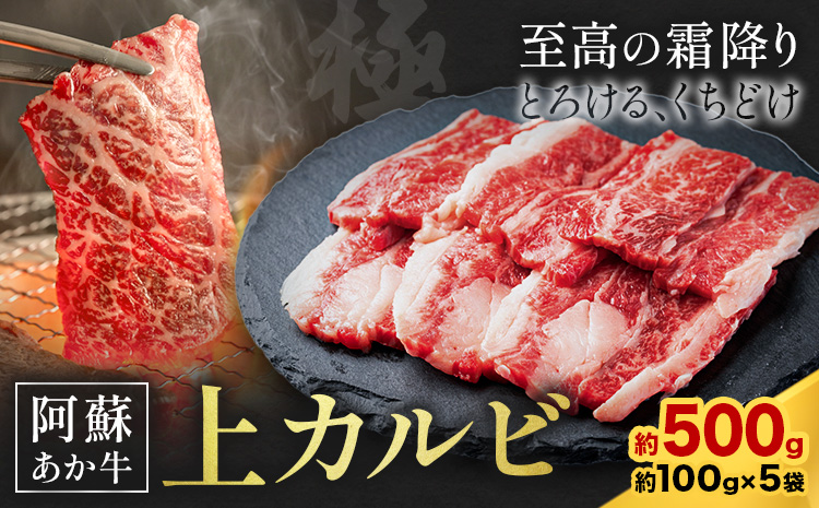 阿蘇あか牛 上カルビ 合計約500g 約100g×5袋 株式会社LARKS《30日以内に出荷予定(土日祝除く)》お肉 和牛 あか牛 焼肉 熊本県産 九州産 国産 冷凍 送料無料