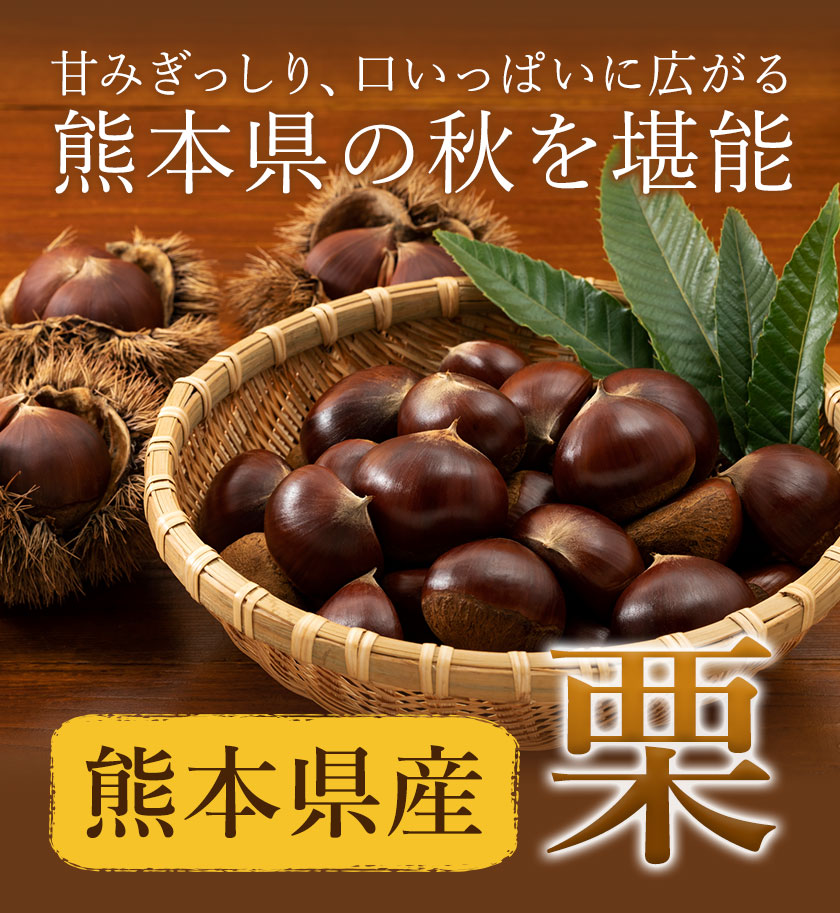 ãå
è¡äºçŽãæ çŽ3kg 2Lãµã€ãº æ¥æ¬ãã«ãŒãæ ªåŒäŒç€Ÿã9æäžæ¬-10æäžæ¬é åºè·ãçæ¬ç èæ± åž æ ãã çæ¬çç£ 2L æ ãããšã æ ãã¯ã