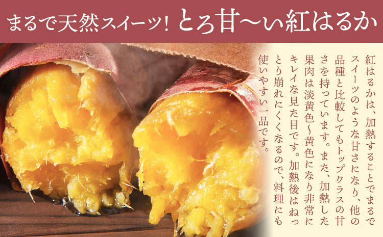 ãã€ãŸãã çŽ
ã¯ãã çŽ5kg(9-38å) æ ªåŒäŒç€ŸGGYããã±ãŒãžã2025幎11æäžæ¬-2026幎4æäžæ¬é åºè·ãçæ¬ç èæ± åž ãã€ãŸãã çŽ
ã¯ãã è ãã éè åœç£ çŒãè ã¹ã€ãŒãããã èãããã 倧åŠè å¹²ãè ãã£ãšã æ¬ éæç¡æ