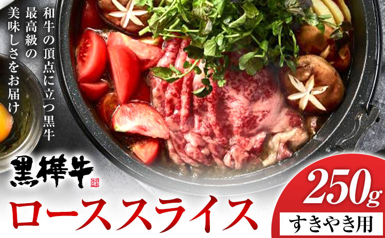 くまもと黒毛和牛 黒樺牛 ロース すき焼き用 250g 1パック 株式会社杉本本店 《90日以内に出荷(土日祝除く)》熊本県 菊池市 牛肉 牛 お肉 ロース スライス すき焼き 黒毛和牛 国産 九州産 熊本県産 冷凍 送料無料