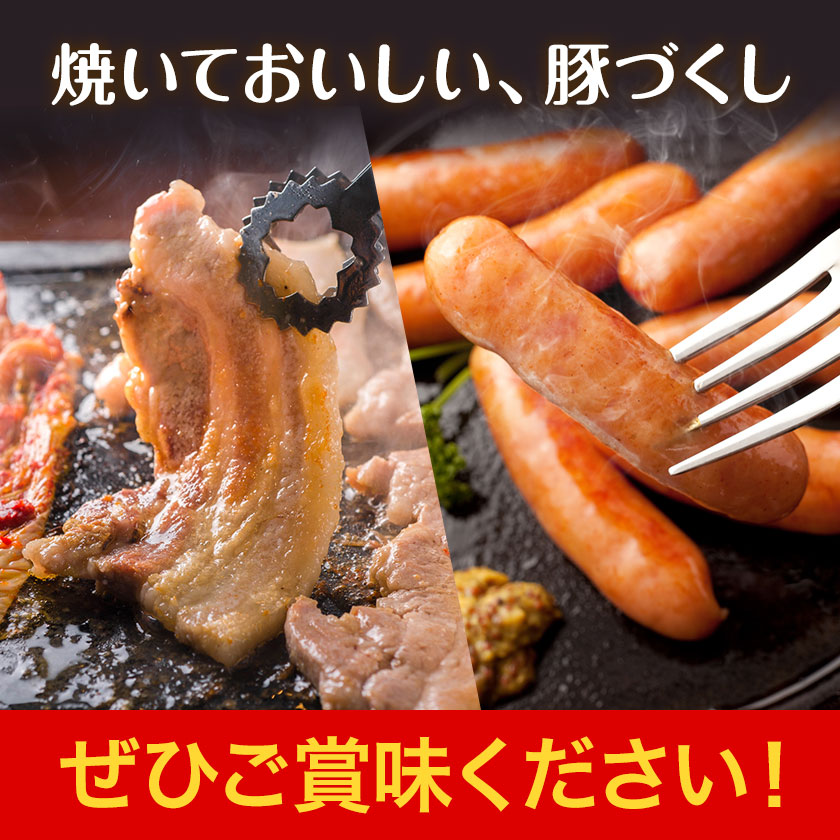豚肉 焼肉 ＆ ウインナー セット 4種類 食べ比べ 有限会社ハム工房TONGTONG《90日以内に出荷予定(土日祝除く)》熊本県 菊池市 豚肉 セット バラ ロース モモ ウインナー ソーセージ 金TONG 九州産 国産 熊本県産