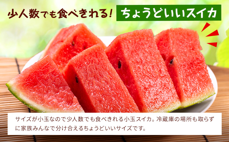 ãå
è¡äºçŽãå°çã¹ã€ã« 3ã5ç çŽ4.5kg æ¥æ¬ãã«ãŒãæ ªåŒäŒç€Ÿ ã4æäžæ¬-7æäžæ¬é åºè·ã ãã ãŸããã 西ç ããã ãã«ãŒã æç© ãã ãã® æ¬ çæ¬ç èæ± åž çæ¬çç£ ããŸããš