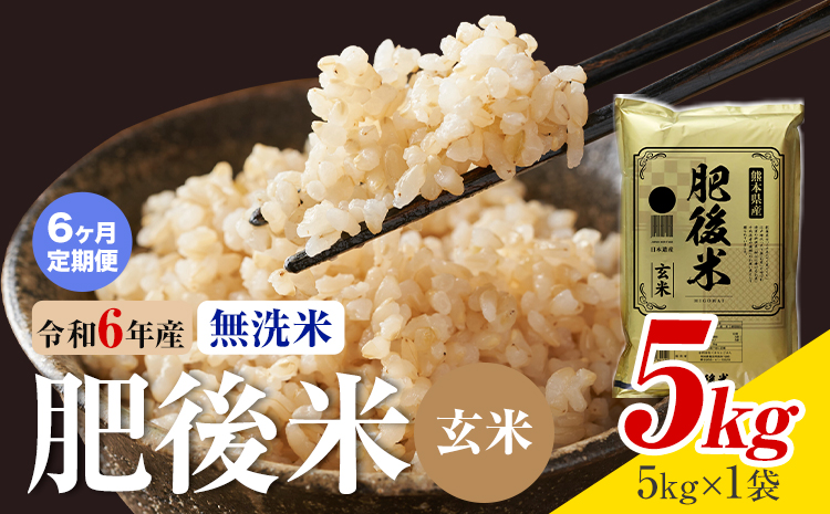 【6ヶ月定期便】熊本県産 肥後米 無洗米 玄米 5kg 1袋5kg 米 お米 令和6年産 九州産 熊本県産 ブレンド米 送料無料《お申込み翌月に出荷予定》玄米 無洗米 米