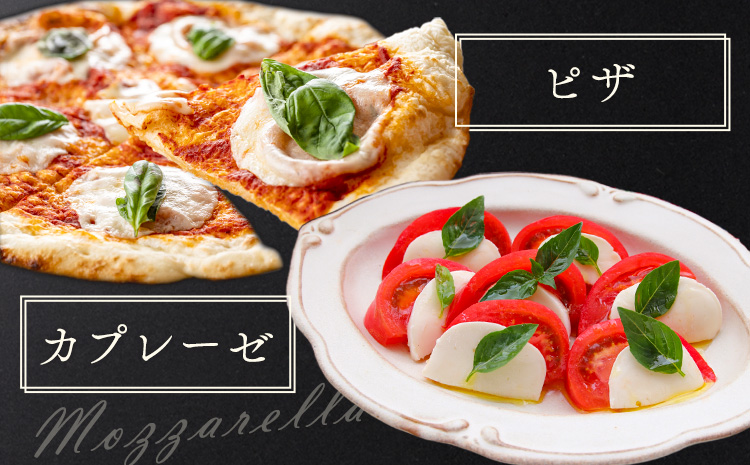 ã¢ããã¡ã¬ã©ããŒãº ãã«ç 20å ããŒãº ã¢ã¶ã¬ã© æ ªåŒäŒç€Ÿãã©ã«ãã»ãŽã§ã¹ã¿ã90æ¥ä»¥å
ã«åºè·äºå®(忥ç¥é€ã)ããã¬ãã·ã¥ ã«ãã¬ãŒãŒ ãã€ãŸã¿ åè æäœã åœç£ çæ¬ç èæ± åž éæç¡æ