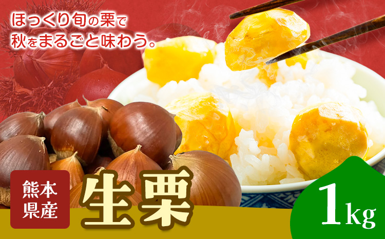 栗 生栗 1kg とくちゃん農園[9月上旬から10月上旬出荷予定]熊本県 菊池市 栗 くり 熊本県産 秋の味覚 果物 くだもの フルーツ デザート ご飯