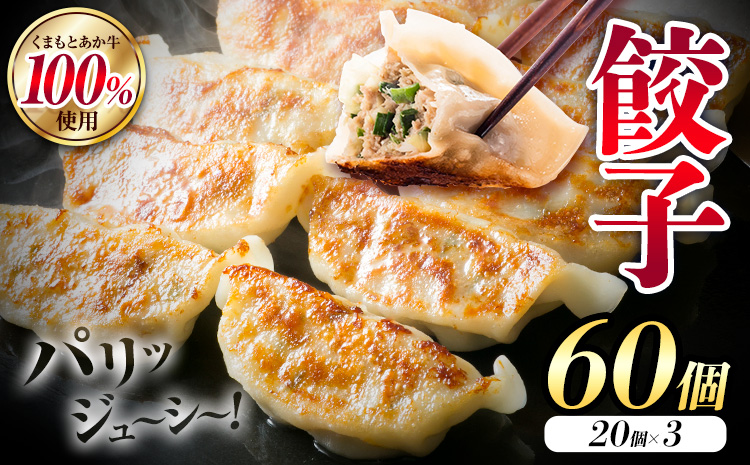 くまもと あか牛 100％ 餃子 20個入り×3(計60個) 牛肉 《30日以内に出荷予定(土日祝除く)》
