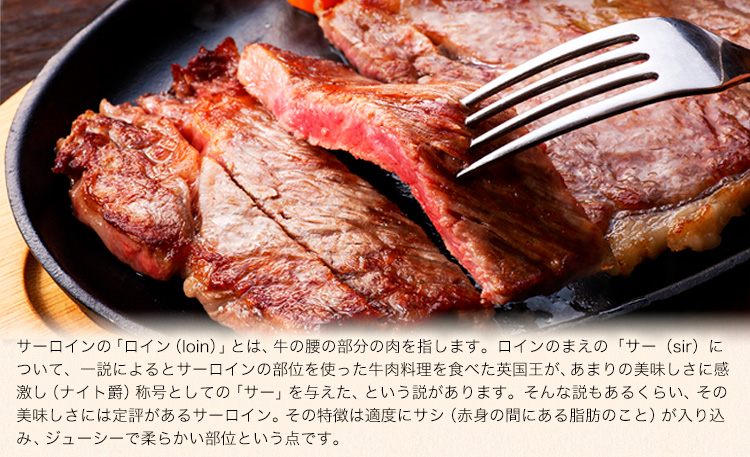 ステーキ 赤身 牛肉 サーロインステーキ 送料無料 あか牛 小分け 熊本県産 500g ( 250g x 2枚 ) 《30日以内に出荷予定(土日祝除く)》