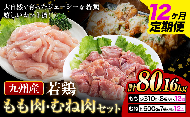 【12ヶ月定期便】 九州産若鶏もも肉（310g×8袋）・むね肉（600g×7袋）セット  鶏肉 お肉 モモ肉 もも肉 ムネ肉 むね肉 2種類 小分け 冷凍 九州産 国産 熊本県 菊池市 送料無料《お申込み翌月から出荷》